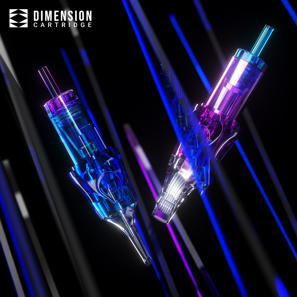 20 St&uuml;ck rundes Liner Tattoo Nadeln Patronen 0,3 mm 0,25 mm Doppelfarbige Langen Taper 0